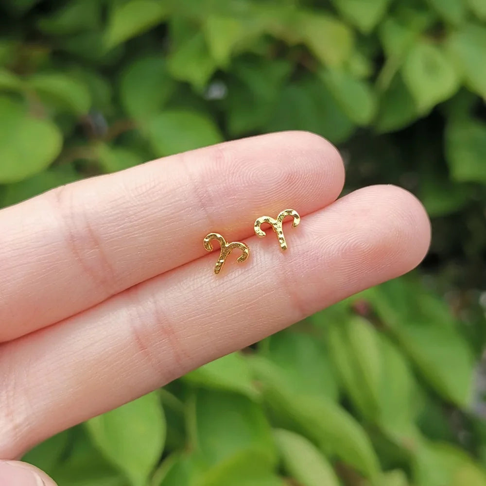 1Pair 12 Constellation Symbol Stud Earrings Virgo Leo Libra Aquarius Zodiac Cartilage Earrings Piercing Jewelry Birthday Gifts